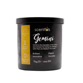 Gemini Zodiac Constellation Candle